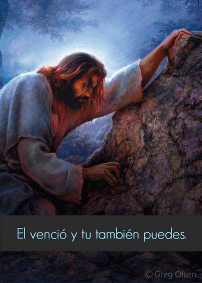 EL DESCANSO DE LA VICTORIA.